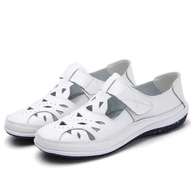 48040130085196|48040130117964|48040130150732|48040130183500|48040130249036|48040130281804|48040130347340|48040130412876