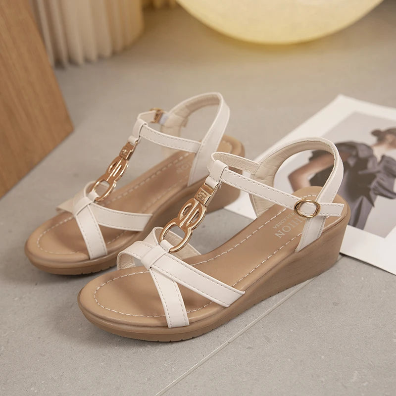 47980012372300|47980012405068|47980012437836|47980012470604|47980012503372|47980012536140