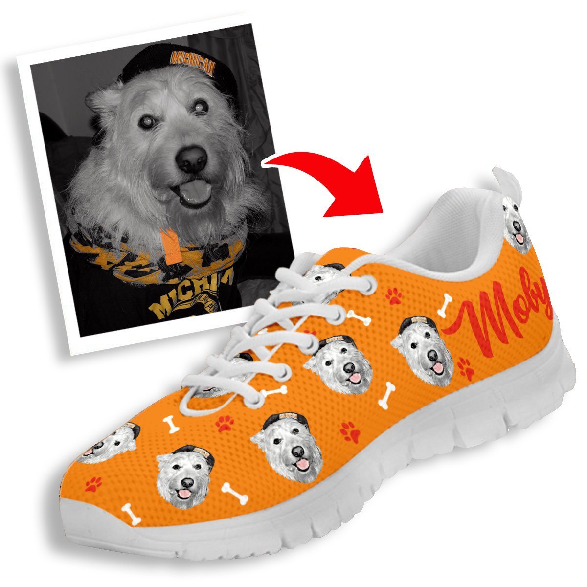 Sapatilhas personalizadas com a foto e o nome do seu animal (cão ou gato)