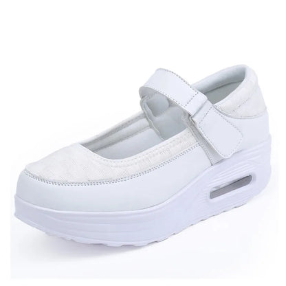 48194228158796|48194228191564|48194228224332|48194228257100|48194228289868|48194228322636|48194228355404|48194229403980