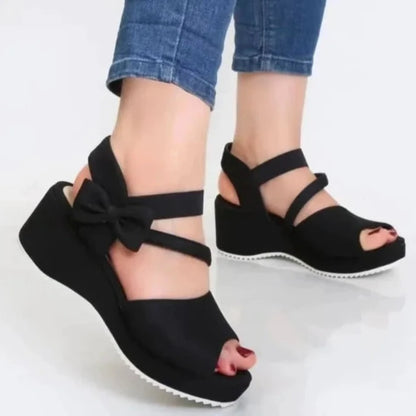 48040141488460|48040141553996|48040141619532|48040141685068|48040141816140|48040141881676|48040141914444|48040142242124