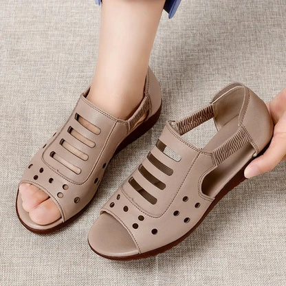 47692166660428|47692166693196|47692166725964|47692166758732|47692166791500|47692166824268|47692166857036|47692166889804|47692166922572|47692166955340|47692166988108|47692167020876