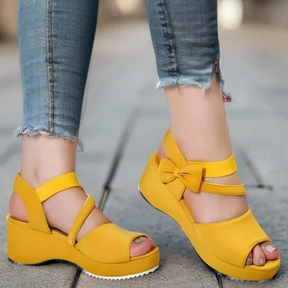 48040142504268|48040142569804|48040142635340|48040142700876|48040142831948|48040142930252|48040142995788|48040143061324