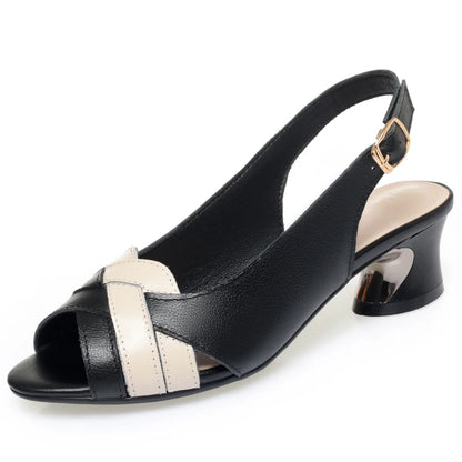 Alanina - Confortável e elegante ( Pele Genuína )